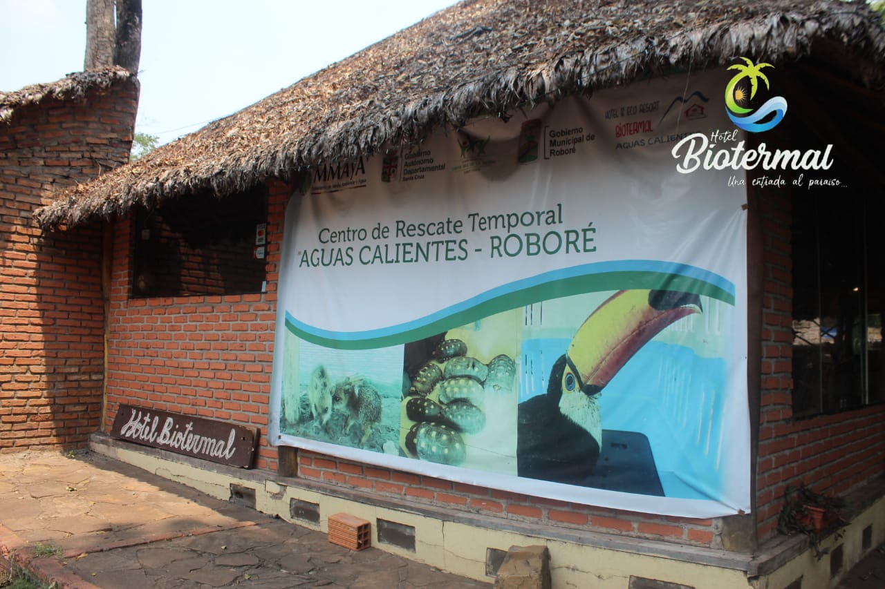 WhatsApp Image 2020-09-29 at 13.28.27 (2)