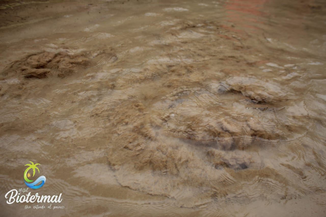 WhatsApp Image 2020-09-29 at 13.28.27 (1)