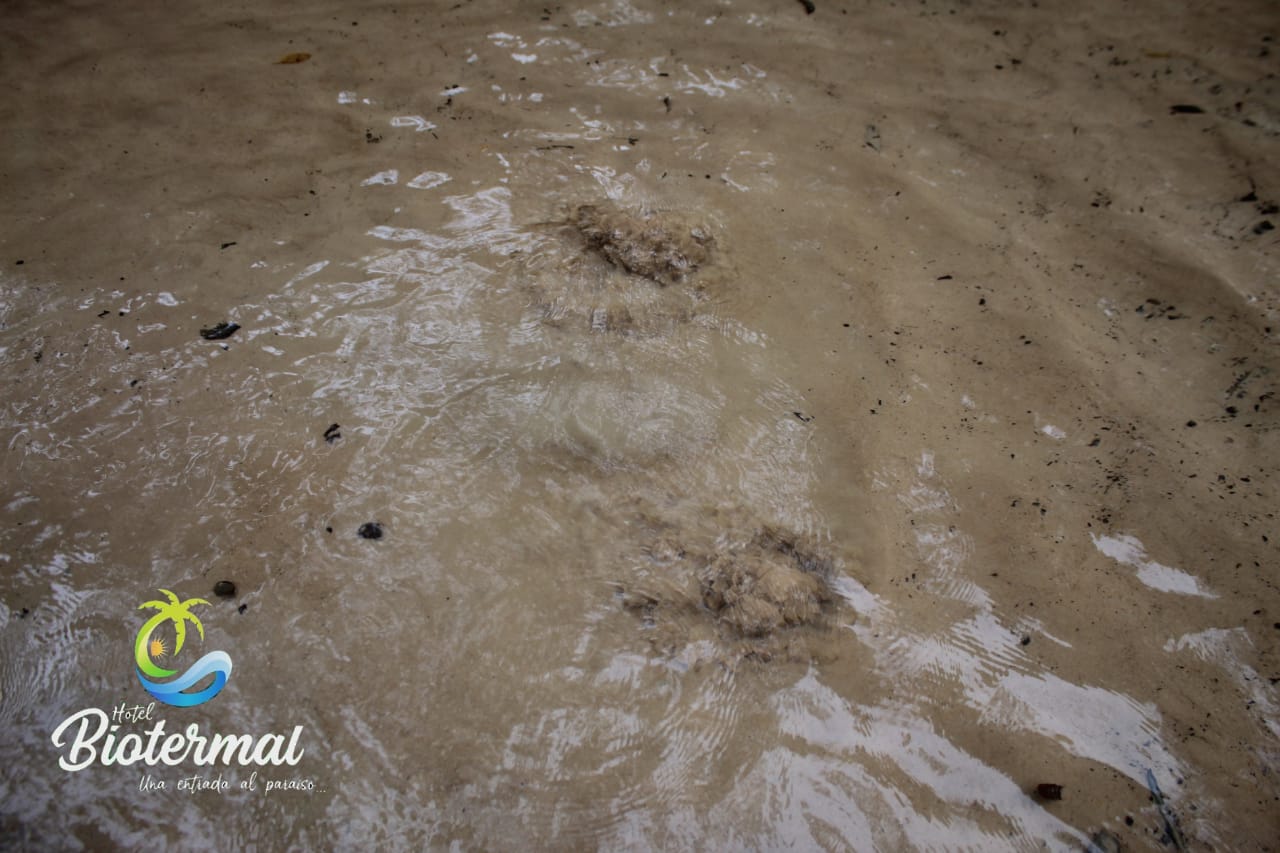 WhatsApp Image 2020-09-29 at 13.28.28 (1)